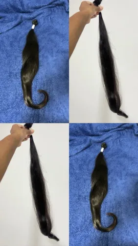 Cabelo brasileiro