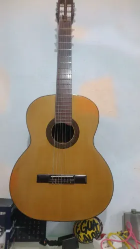 Violão profissional 