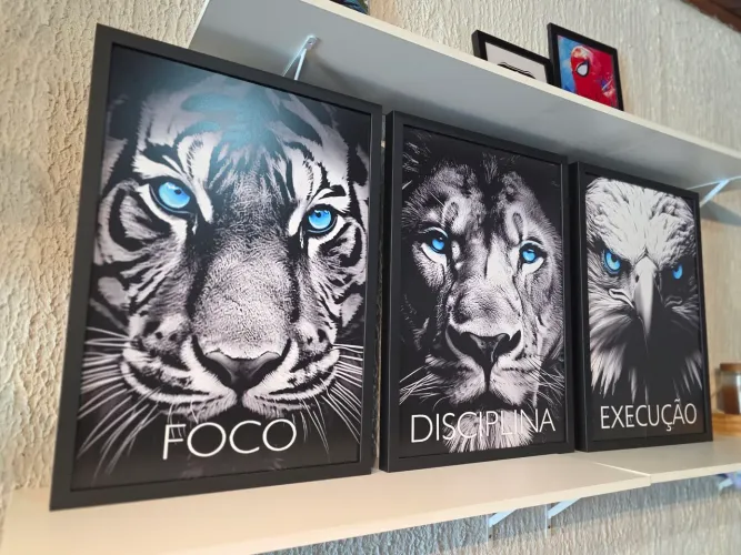 Quadros FOCO DISCIPLINA e Execução  trio loja Fanático 