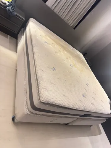 CAMA KING RECONFLEX
