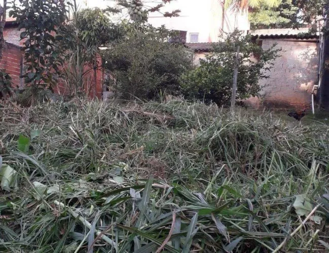 Terreno à venda, 286 m² por R$ 750.000,00 - Jardim São Pedro - Cotia/SP