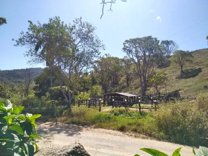 Sítio à venda próximo de Almenara/MG - 5,05 ha com bom acesso, casa/luz/água/chácara/pasto