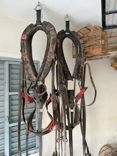 Curiama de 2 cavalos