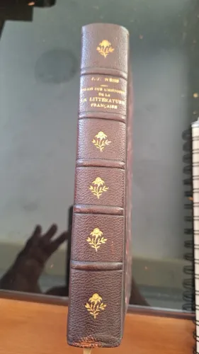 Essais sur l'histoire de la litterature francaise - 1891