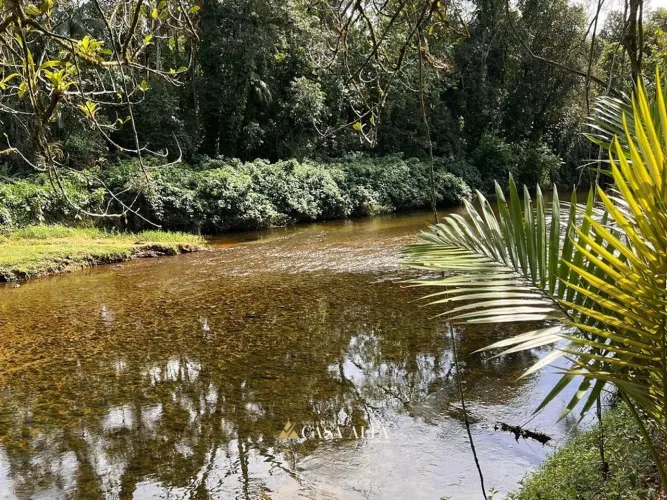 Terreno à venda em Morretes PR