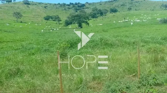 Fazenda porteira fechada à venda com 355 alqueires - aproximadamente 860 hectares - 1.300 