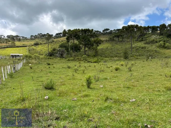 Área Rural para Venda em São Joaquim, Perico