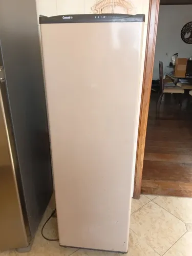 Freezer vertical