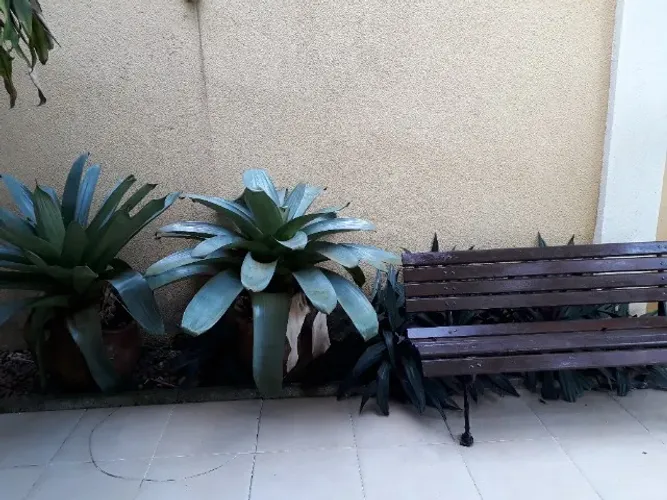 CASEIRA free lance para Barra da,Tijuca