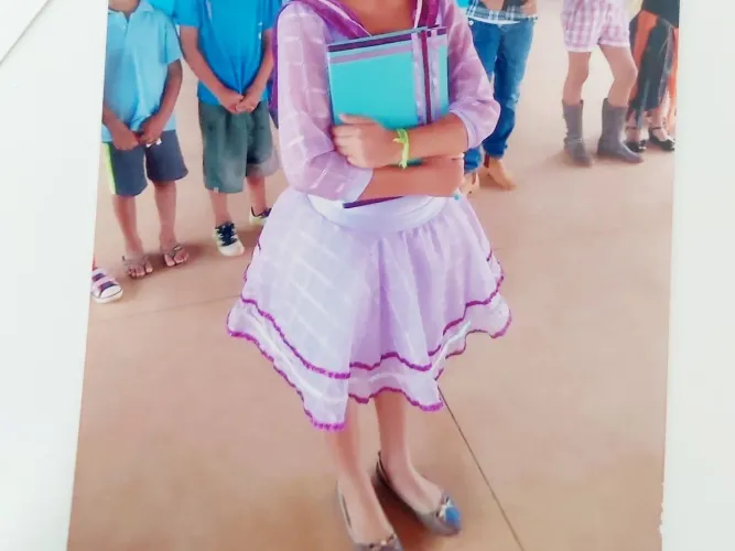 Fantasia de Carnaval bailarina