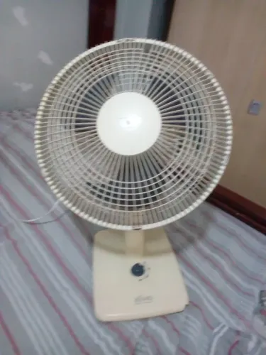 Ventilador 30 cm de 220V