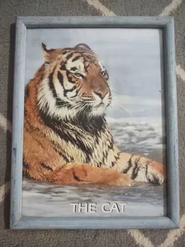 Quadro De Parede The Cat Tigre 30 X 22 Centímetros