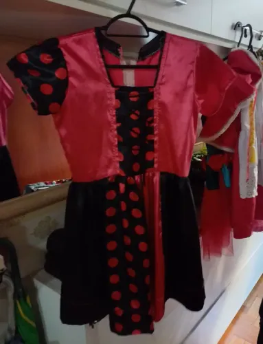 Vestido Infantil de Fantasia