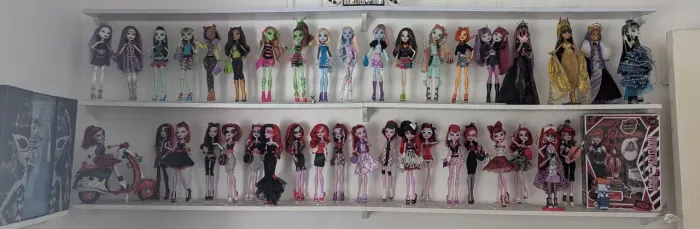 Lote Monster high, bonecss e acessórios 