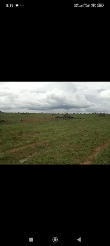 Fazenda de arrendamento em pasto 850hec em.Brasnorti MT.