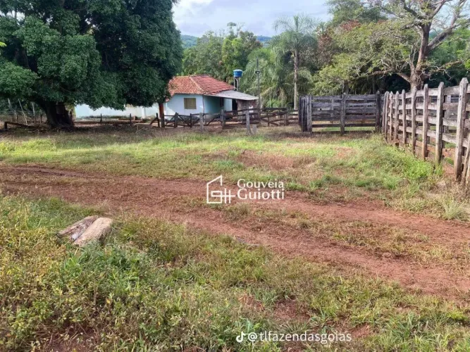 Chácara 11,60 Alqueires Taquaral de Goiás
