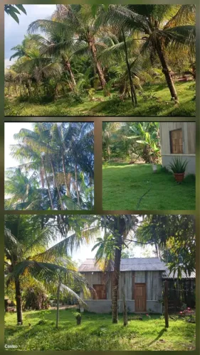 Vendo uma chácara no São Raimundo do moju