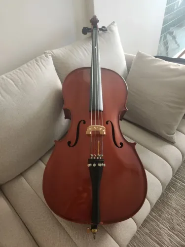 Violoncelo Michael com arco e acessórios