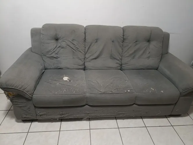 Sofá desgastado pela alegria dos gatos