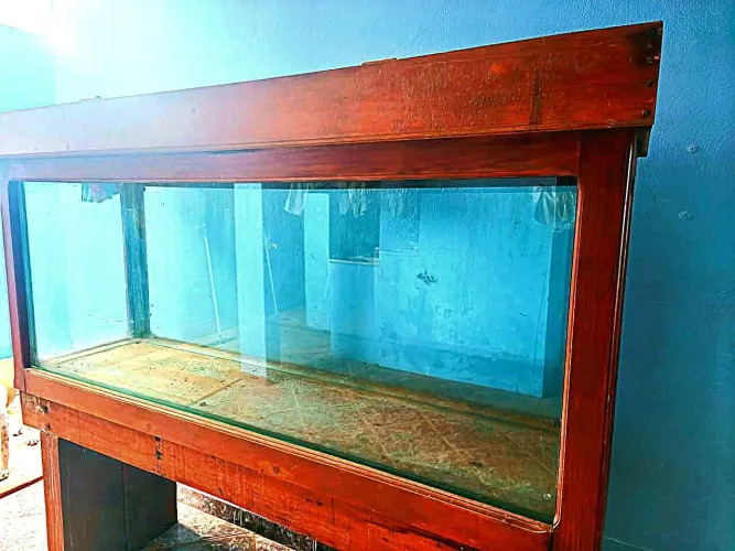 Aquário 500 litros
