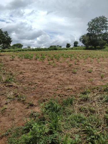 Vende-se terreno P.A contagem Fercal
