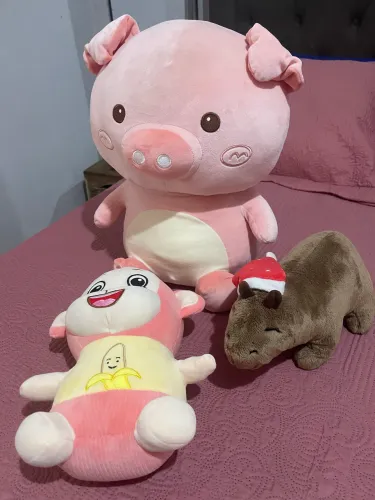 Ursos novos