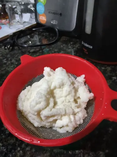 Venda de Kefir. 40,00