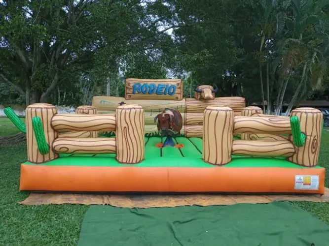 Vende-se Brinquedos Infláveis e de Parque