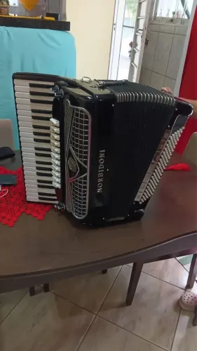 Acordeon 120 baixos, italiano, duplo cassoto, 4/5, 49 cm