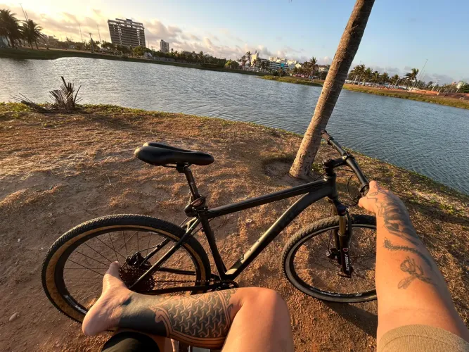 Bicicleta aro 29
