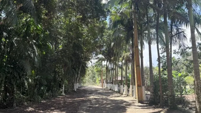 TERRENO À VENDA EM MORRETES NO BAIRRO BARREIROS POR 95MIL