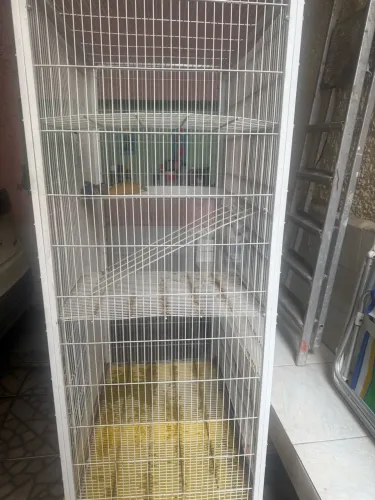 Gaiola de Furão