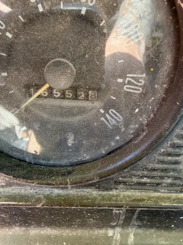 Ford 1981