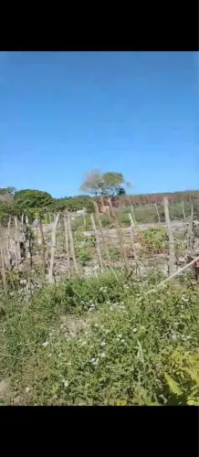 Vendo Terreno com casa !!!