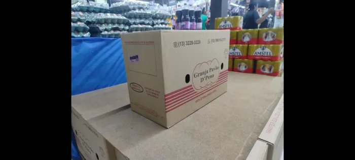 MUDANÇA Caixa de Papelão