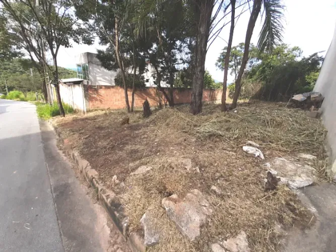 LOTE BAIRRO LIBERDADE - 253,61 M²