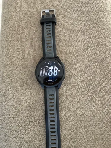 Garmin 165