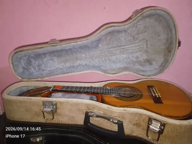 cavaquinho elétrico com case
