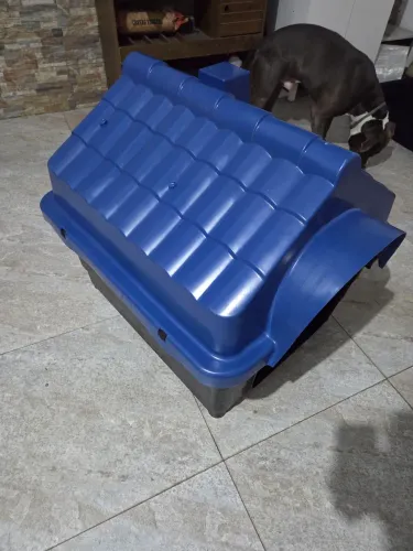 Casinha Cachorro Cães Plastica Numero 7 Cor Azul