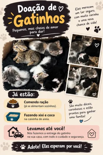 DOAÇÃO DE GATINHOS