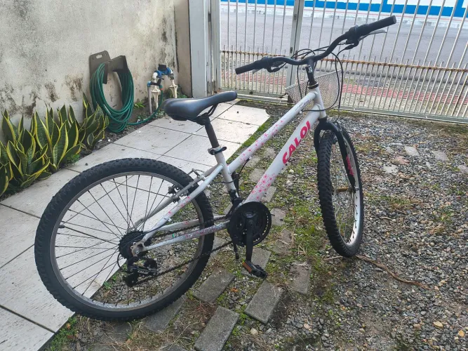 Vendo bicicleta Ceci Caloi aro 24