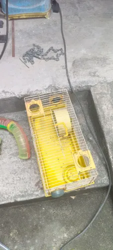 Vendo gaiola de Hamster R$50