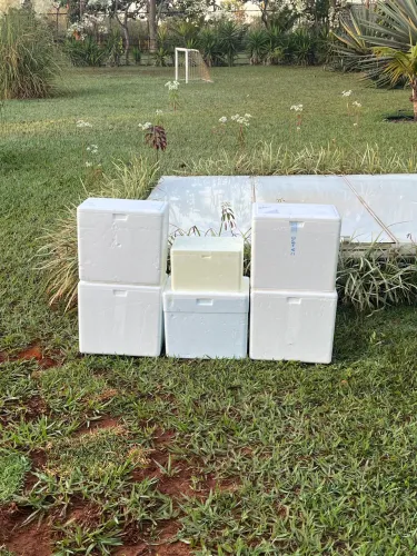 Caixas de Isopor