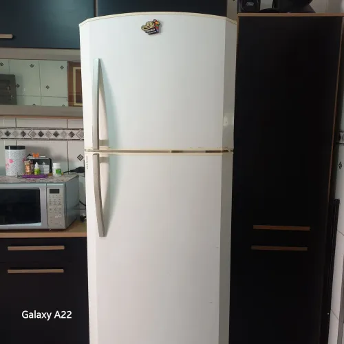 Geladeira Bosch , funcionando perfeitamente somente umas avarias na porta parte debaixo