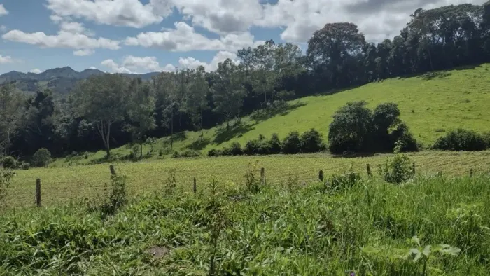 Excelente sítio de 7,5ha com ótima localização!! Marmelópolis MG