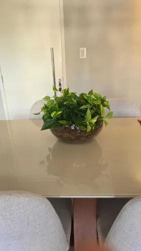Vende-se um Centro para Mesa.