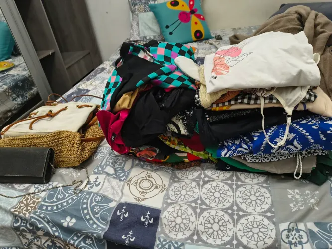 Lote de roupas