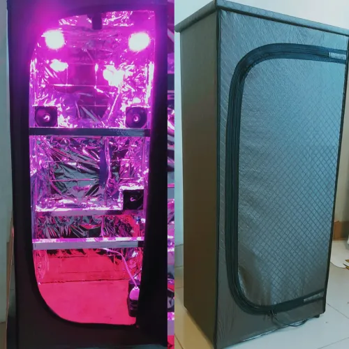B2 Estufa Cultivo Indoor Completa bivolt 100 X 46 X 32