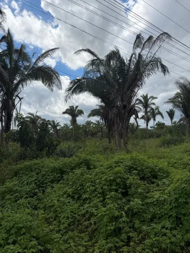 Terreno dentro de São Luís