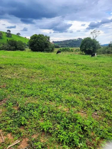 Chácara do Rio Dourado